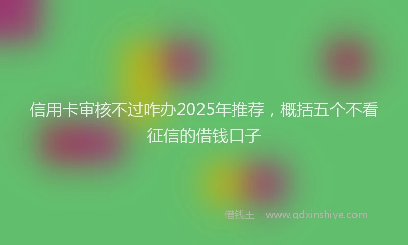 信用卡审核不过咋办2025年推荐，概括五个不看征信的借钱口子