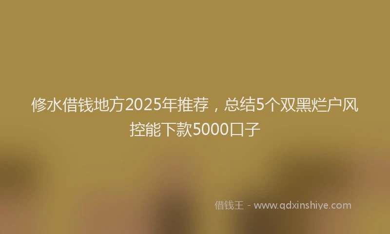 修水借钱地方2025年推荐，总结5个双黑烂户风控能下款5000口子