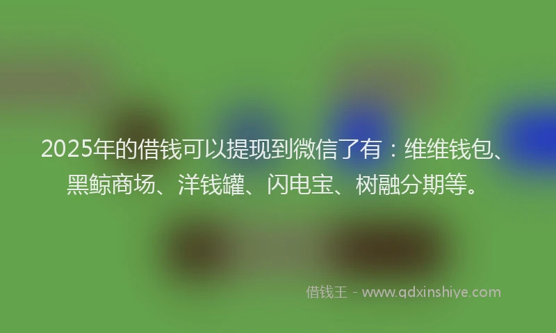 2025年的借钱可以提现到微信了有：维维钱包、黑鲸商场、洋钱罐、闪电宝、树融分期等。