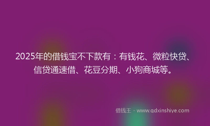 2025年的借钱宝不下款有：有钱花、微粒快贷、信贷通速借、花豆分期、小狗商城等。