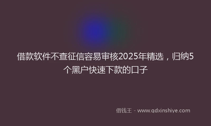 借款软件不查征信容易审核2025年精选，归纳5个黑户快速下款的口子