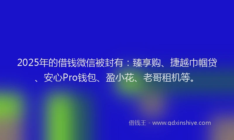 2025年的借钱微信被封有：臻享购、捷越巾帼贷、安心Pro钱包、盈小花、老哥租机等。