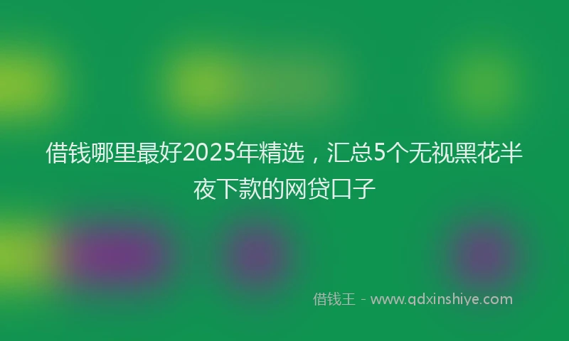 借钱哪里最好2025年精选，汇总5个无视黑花半夜下款的网贷口子