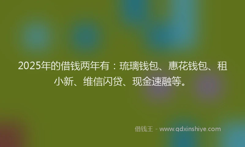 2025年的借钱两年有：琉璃钱包、惠花钱包、租小新、维信闪贷、现金速融等。