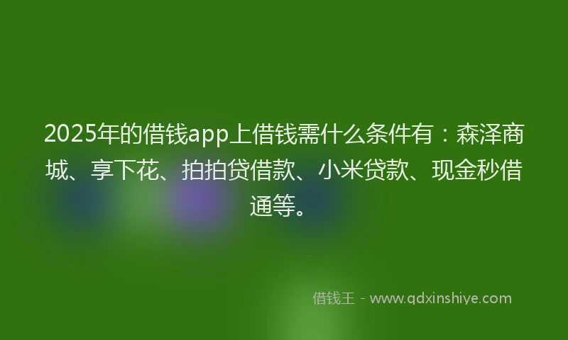 2025年的借钱app上借钱需什么条件有：森泽商城、享下花、拍拍贷借款、小米贷款、现金秒借通等。