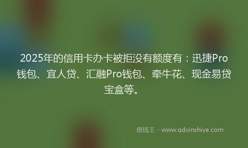 2025年的信用卡办卡被拒没有额度有：迅捷Pro钱包、宜人贷、汇融Pro钱包、牵牛花、现金易贷宝盒等。