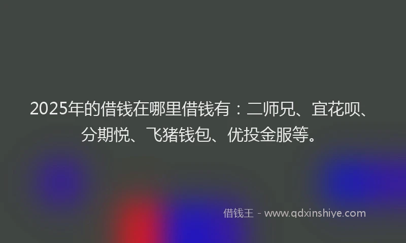 2025年的借钱在哪里借钱有：二师兄、宜花呗、分期悦、飞猪钱包、优投金服等。