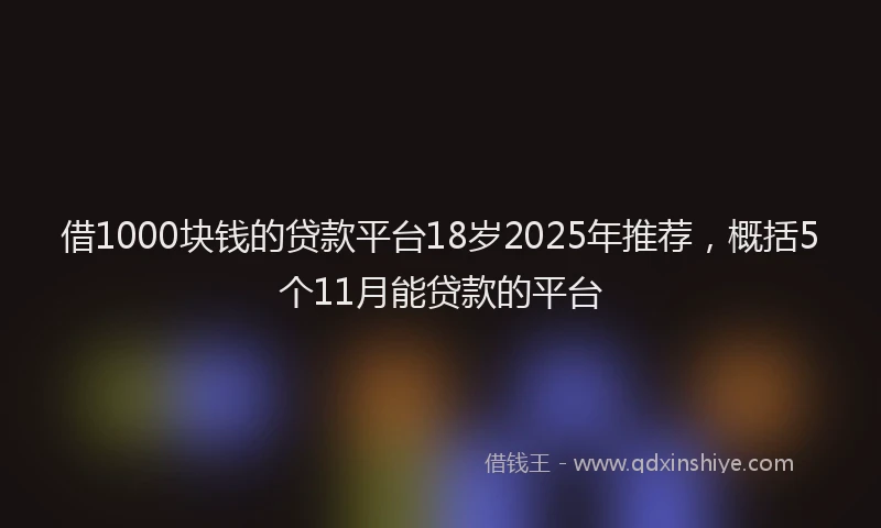 借1000块钱的贷款平台18岁2025年推荐，概括5个11月能贷款的平台