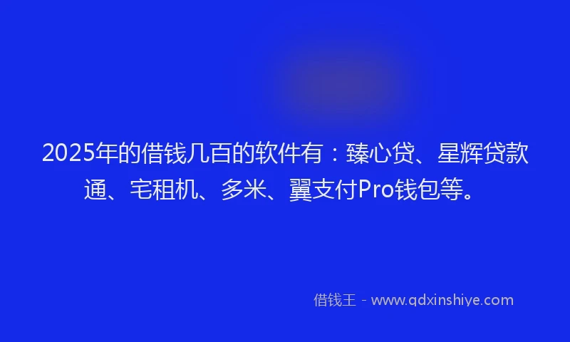 2025年的借钱几百的软件有：臻心贷、星辉贷款通、宅租机、多米、翼支付Pro钱包等。