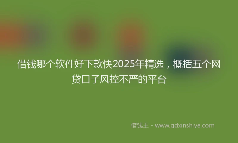 借钱哪个软件好下款快2025年精选，概括五个网贷口子风控不严的平台