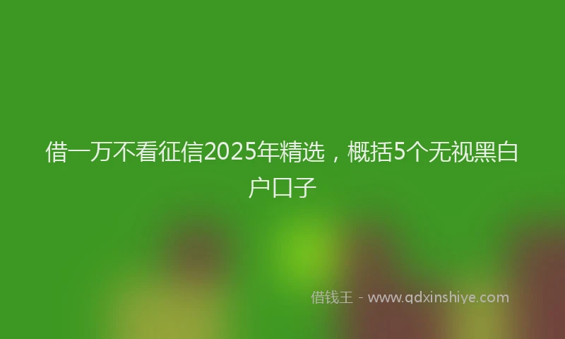 借一万不看征信2025年精选，概括5个无视黑白户口子