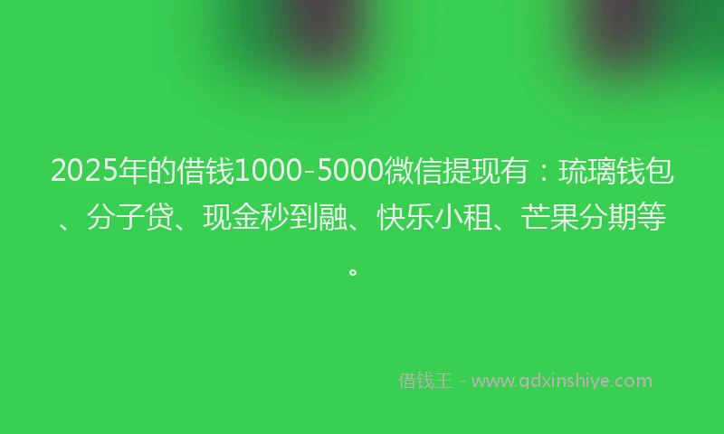 2025年的借钱1000-5000微信提现有：琉璃钱包、分子贷、现金秒到融、快乐小租、芒果分期等。