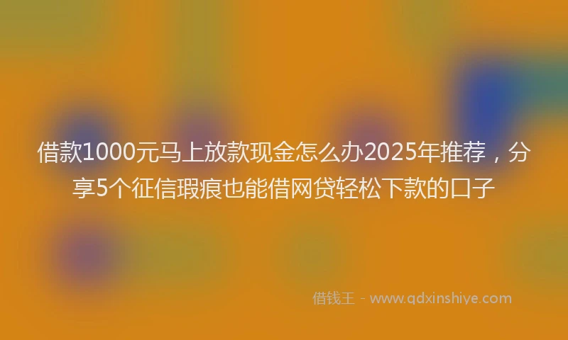借款1000元马上放款现金怎么办2025年推荐，分享5个征信瑕疵也能借网贷轻松下款的口子