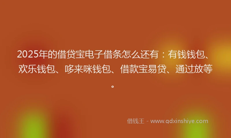 2025年的借贷宝电子借条怎么还有:有钱钱包、欢乐钱包、哆来咪钱包、借款宝易贷、通过放等。