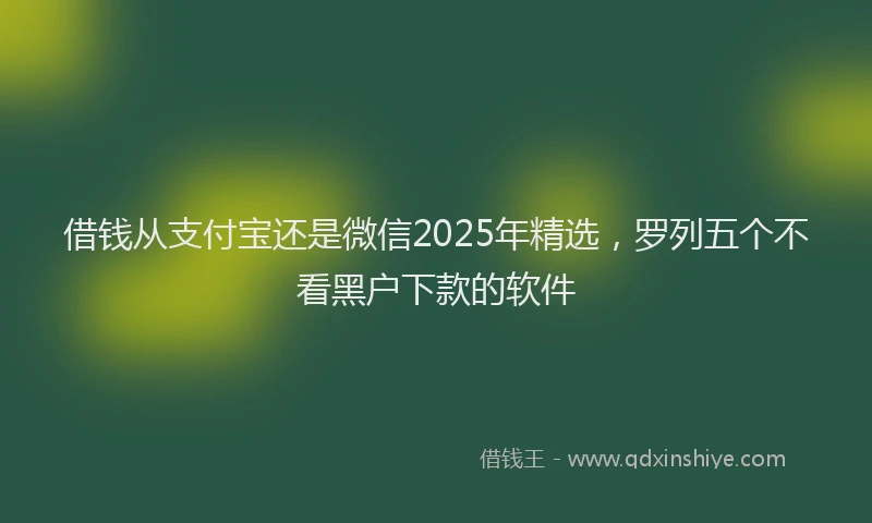 借钱从支付宝还是微信2025年精选，罗列五个不看黑户下款的软件