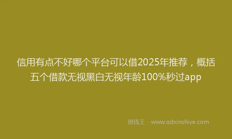 信用有点不好哪个平台可以借2025年推荐，概括五个借款无视黑白无视年龄100%秒过app