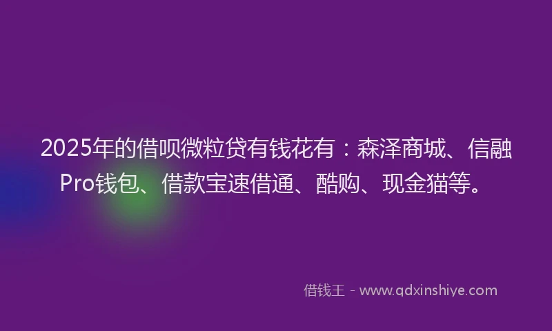 2025年的借呗微粒贷有钱花有：森泽商城、信融Pro钱包、借款宝速借通、酷购、现金猫等。