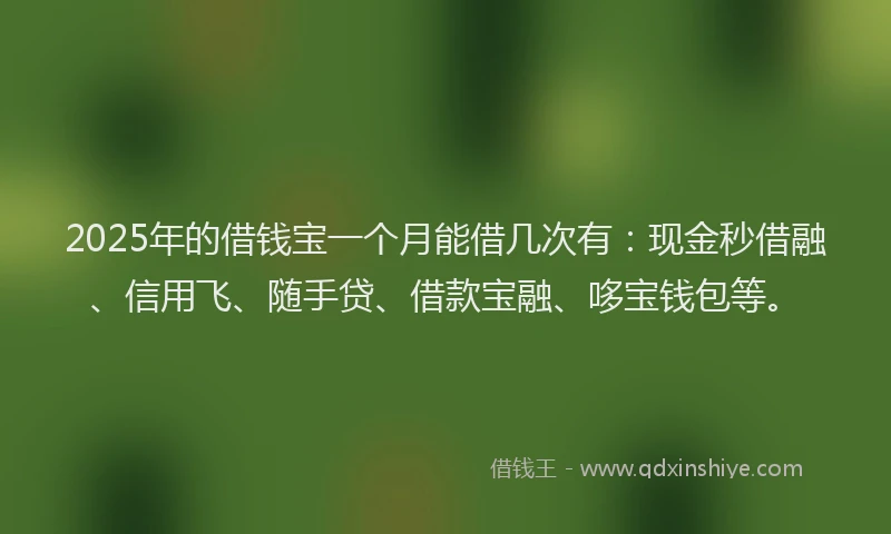 2025年的借钱宝一个月能借几次有：现金秒借融、信用飞、随手贷、借款宝融、哆宝钱包等。
