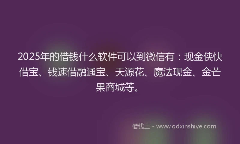 2025年的借钱什么软件可以到微信有：现金侠快借宝、钱速借融通宝、天源花、魔法现金、金芒果商城等。