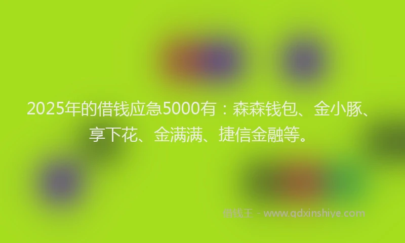 2025年的借钱应急5000有：森森钱包、金小豚、享下花、金满满、捷信金融等。
