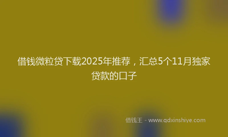 借钱微粒贷下载2025年推荐，汇总5个11月独家贷款的口子