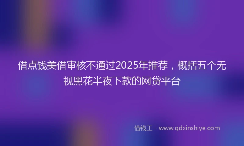 借点钱美借审核不通过2025年推荐，概括五个无视黑花半夜下款的网贷平台