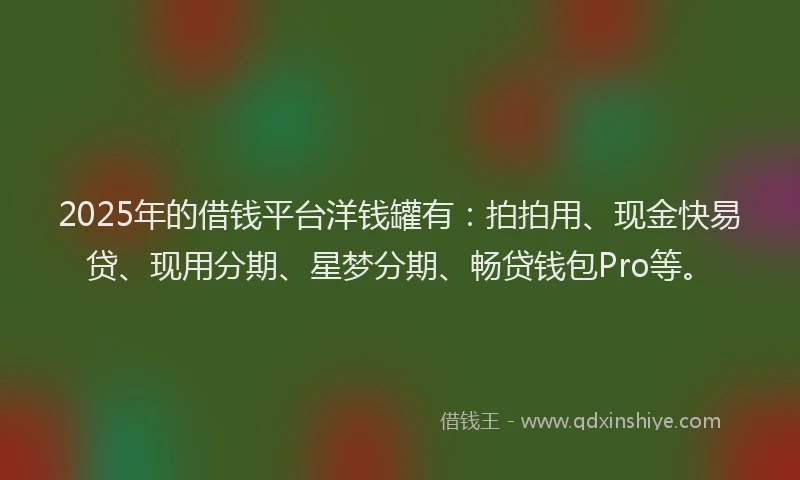 2025年的借钱平台洋钱罐有：拍拍用、现金快易贷、现用分期、星梦分期、畅贷钱包Pro等。