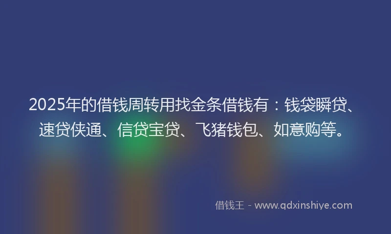 2025年的借钱周转用找金条借钱有：钱袋瞬贷、速贷侠通、信贷宝贷、飞猪钱包、如意购等。