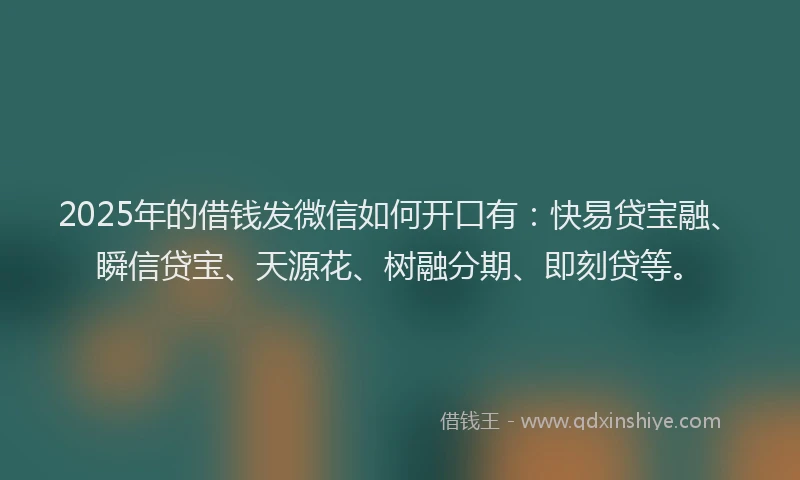 2025年的借钱发微信如何开口有:快易贷宝融、瞬信贷宝、天源花、树融分期、即刻贷等。