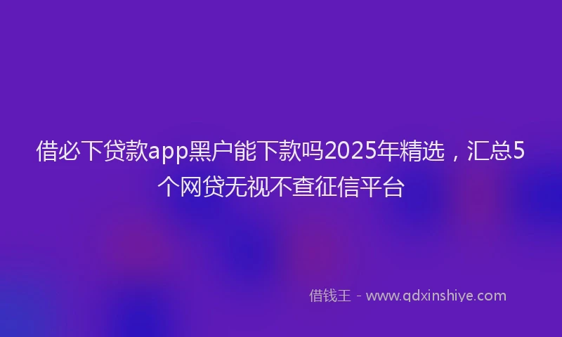 借必下贷款app黑户能下款吗2025年精选，汇总5个网贷无视不查征信平台