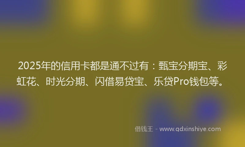 2025年的信用卡都是通不过有：甄宝分期宝、彩虹花、时光分期、闪借易贷宝、乐贷Pro钱包等。