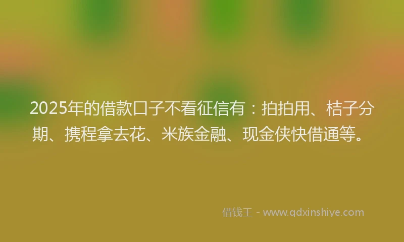 2025年的借款口子不看征信有：拍拍用、桔子分期、携程拿去花、米族金融、现金侠快借通等。