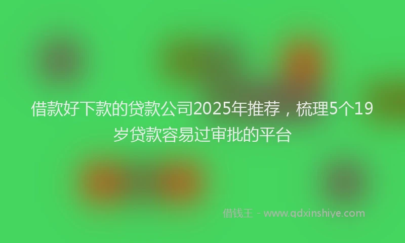 借款好下款的贷款公司2025年推荐，梳理5个19岁贷款容易过审批的平台