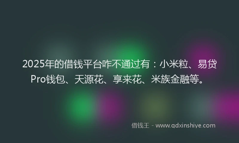 2025年的借钱平台咋不通过有：小米粒、易贷Pro钱包、天源花、享来花、米族金融等。