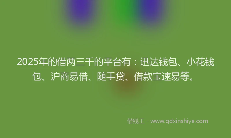 2025年的借两三千的平台有：迅达钱包、小花钱包、沪商易借、随手贷、借款宝速易等。