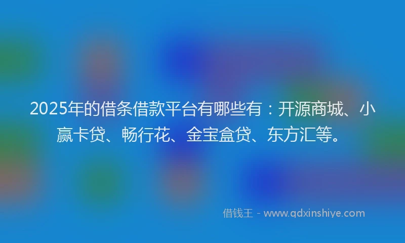 2025年的借条借款平台有哪些有：开源商城、小赢卡贷、畅行花、金宝盒贷、东方汇等。