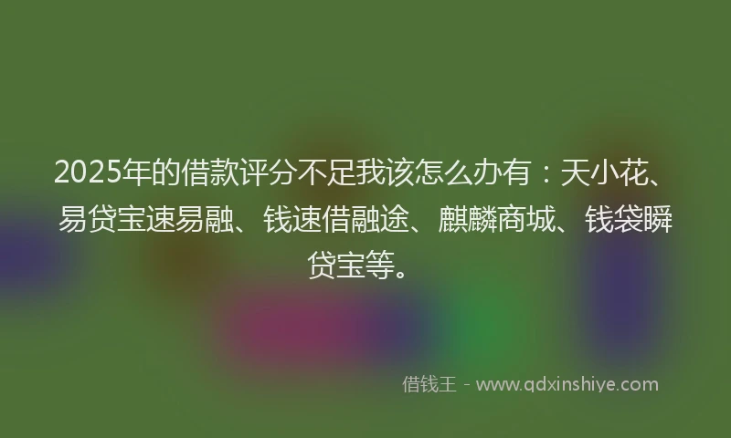 2025年的借款评分不足我该怎么办有：天小花、易贷宝速易融、钱速借融途、麒麟商城、钱袋瞬贷宝等。