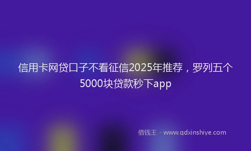 信用卡网贷口子不看征信2025年推荐，罗列五个5000块贷款秒下app