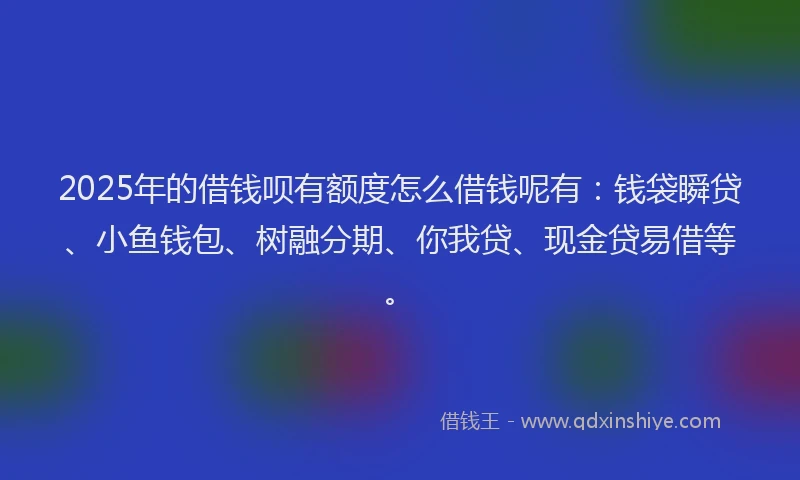 2025年的借钱呗有额度怎么借钱呢有：钱袋瞬贷、小鱼钱包、树融分期、你我贷、现金贷易借等。