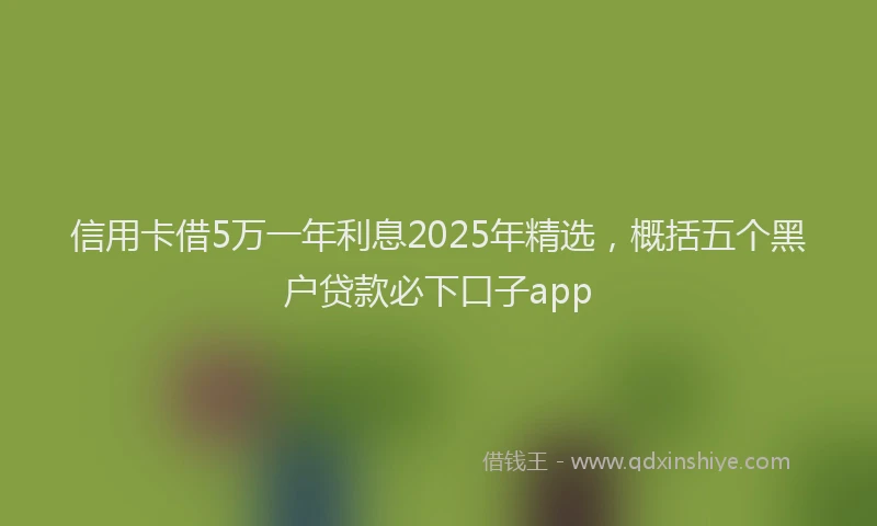 信用卡借5万一年利息2025年精选，概括五个黑户贷款必下口子app
