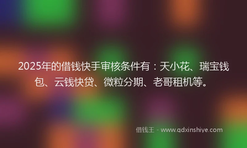 2025年的借钱快手审核条件有:天小花、瑞宝钱包、云钱快贷、微粒分期、老哥租机等。