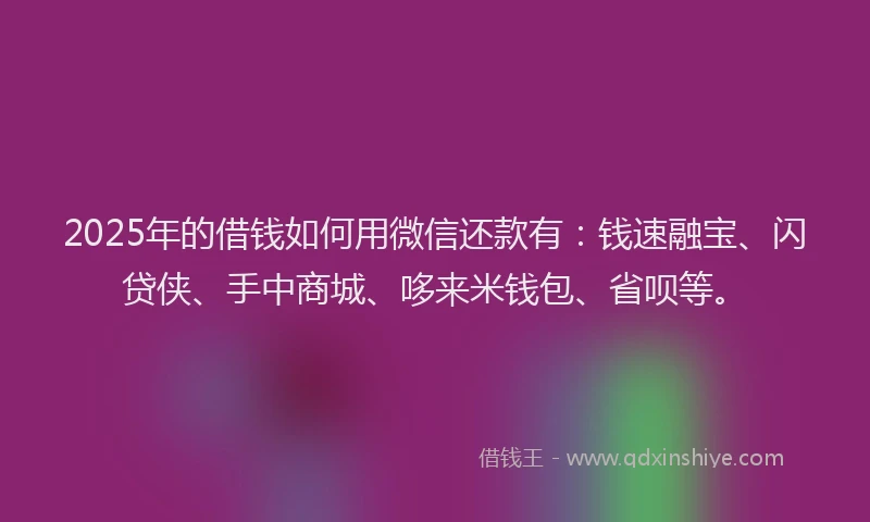 2025年的借钱如何用微信还款有：钱速融宝、闪贷侠、手中商城、哆来米钱包、省呗等。