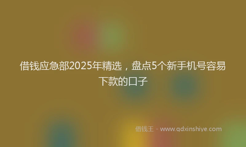 借钱应急部2025年精选，盘点5个新手机号容易下款的口子