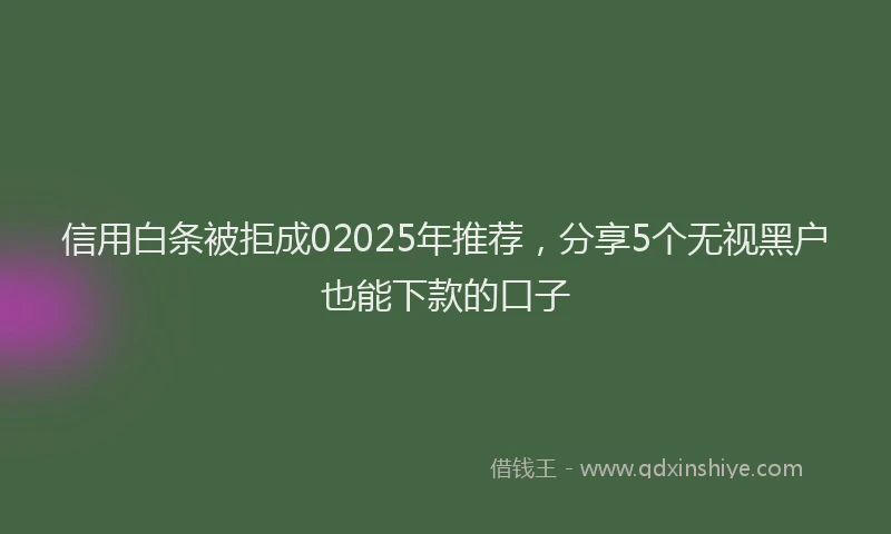 信用白条被拒成02025年推荐，分享5个无视黑户也能下款的口子