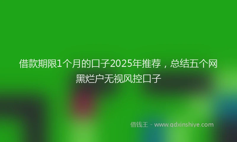 借款期限1个月的口子2025年推荐，总结五个网黑烂户无视风控口子