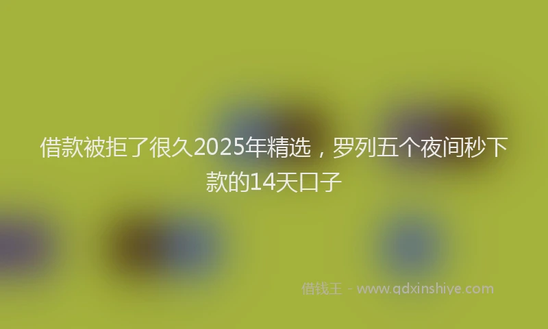 借款被拒了很久2025年精选,罗列五个夜间秒下款的14天口子