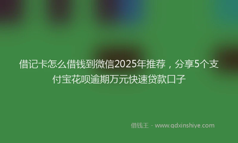 借记卡怎么借钱到微信2025年推荐，分享5个支付宝花呗逾期万元快速贷款口子