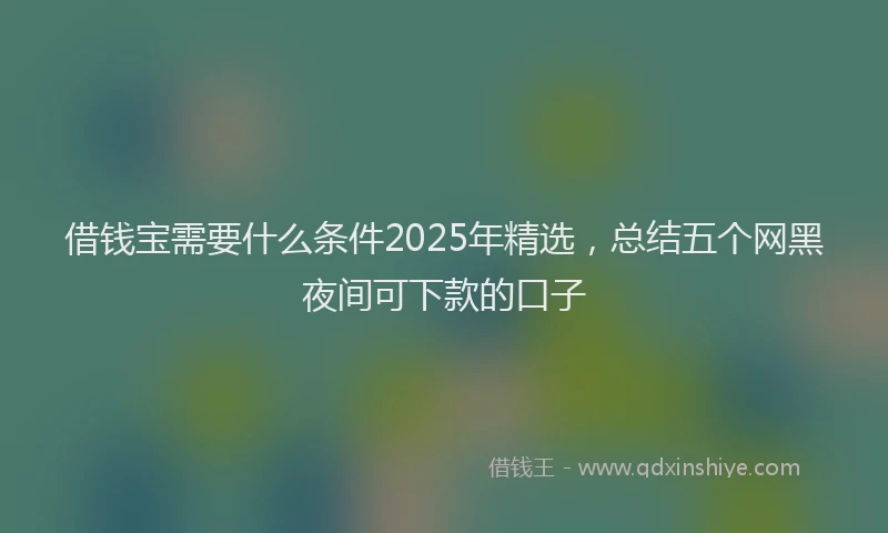 借钱宝需要什么条件2025年精选，总结五个网黑夜间可下款的口子