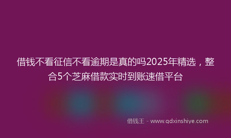 借钱不看征信不看逾期是真的吗2025年精选，整合5个芝麻借款实时到账速借平台