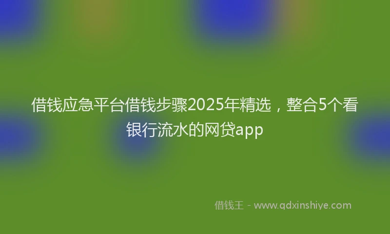 借钱应急平台借钱步骤2025年精选，整合5个看银行流水的网贷app